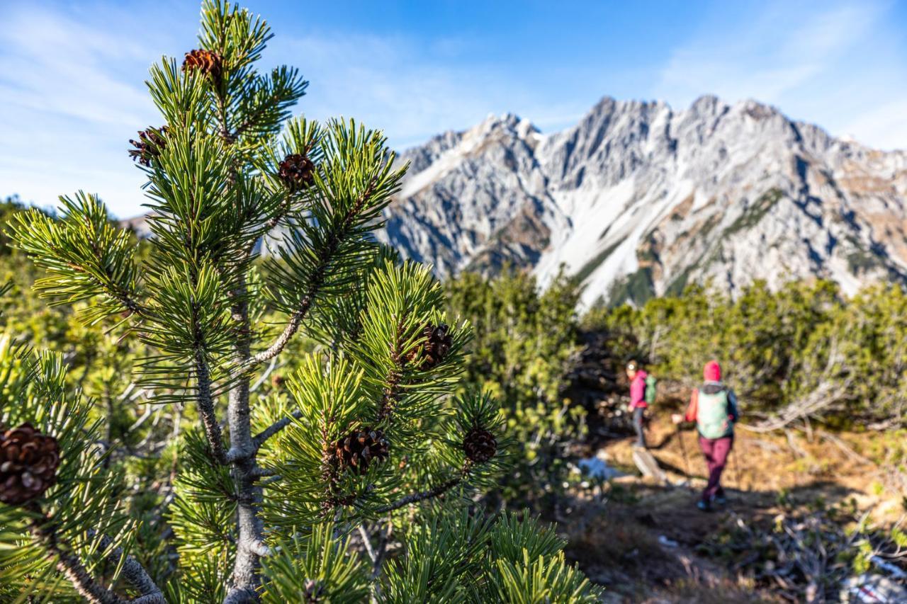 Wald 12 Ferienhaus Wald am Arlberg Eksteriør bilde